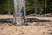 Talberg compact pole палки треккинговые_ (зеленый)