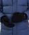 DSC03305 copy.jpg