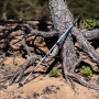Talberg compact pole палки треккинговые_ (зеленый)