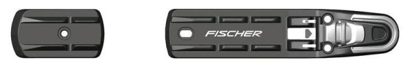 step_in-fischer.jpg