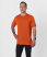 Футболка Interline Мужская (XL, 2300/оранжевый, , , , , )