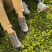 65f80059e39ee117323a9f65.png
