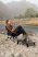 Atepa 2405 ultralight square low chair кресло скл. (черный)